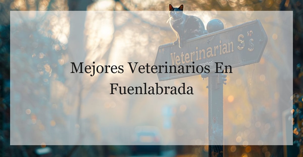 Veterinarios En Fuenlabrada