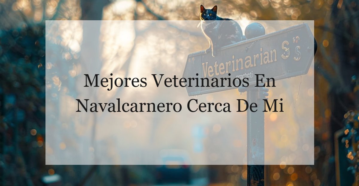 Veterinario En Navalcarnero