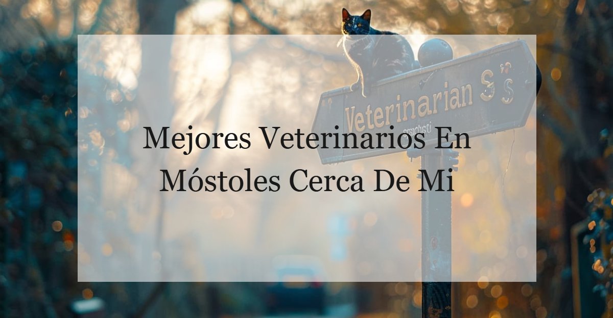 Veterinario En Móstoles