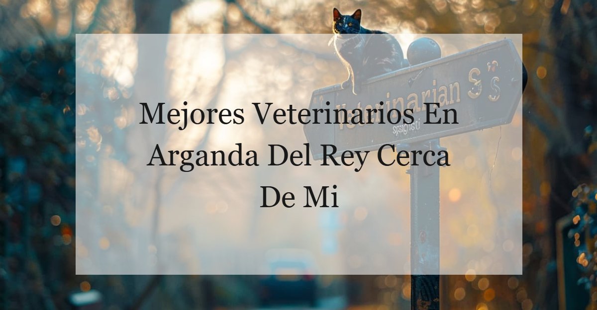 Veterinarios En Arganda Del Rey