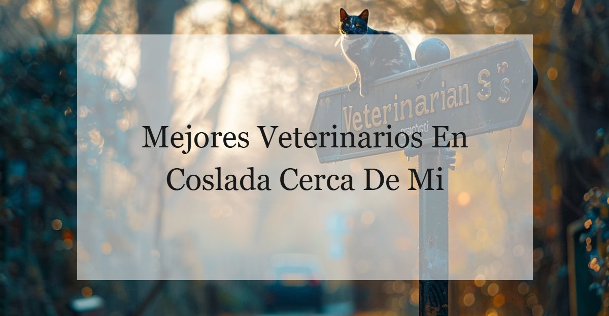 Centro Veterinario San Antonio