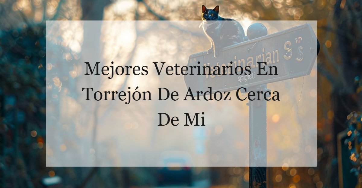 CLINICA VETERINARIA BUFALA SCP