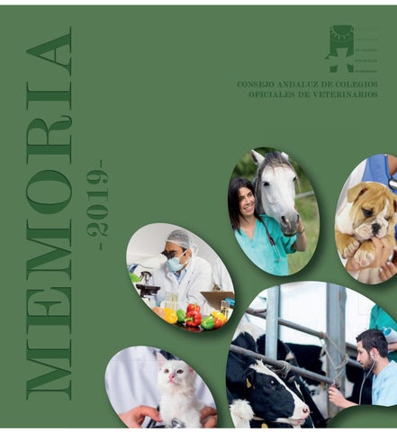 Sanidad Veterinaria Sl-Clinica Veterinaria Perales Del Rio