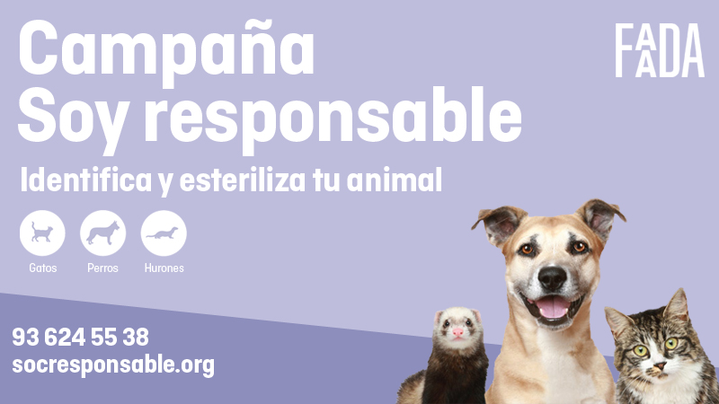 Savanna Veterinari