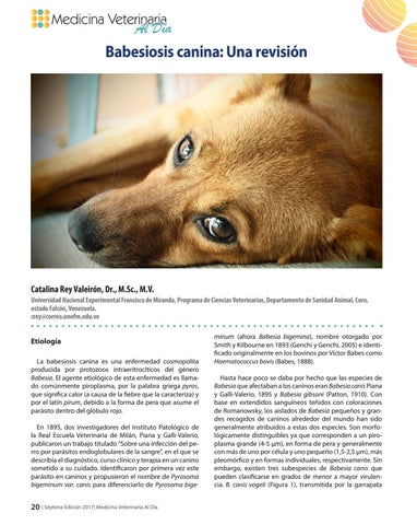 Veter 7