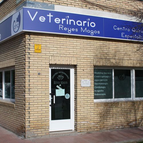 Veterinario Los Cachorros