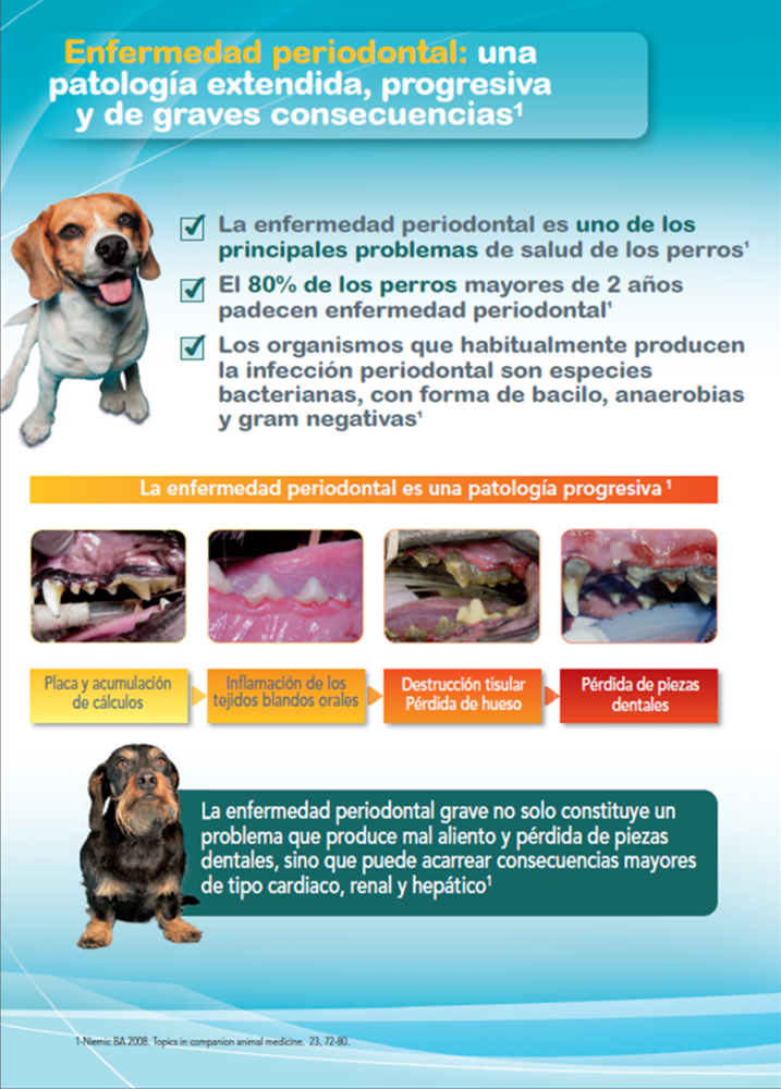 VETERINARIS VILANOVA S.L.