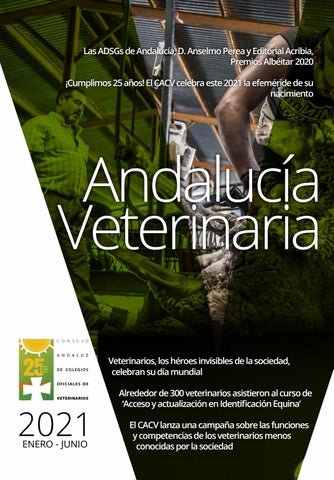 Vetsalud Centro Veterinario